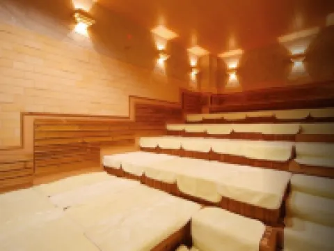 Natural Spa, Kanazawa Hotel Yumenoyu