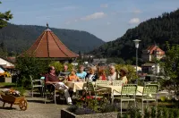 Hotel Bergfrieden Hotels in Neuweiler