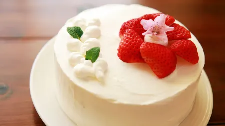 Tanegashima Minshuku Hapisuma