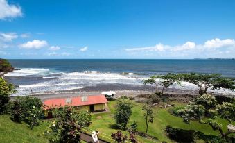 Hilo Apartment Ocean Views on the Hamakua Coast!