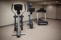 Holiday Inn GREENVILLE by IHG - Gym