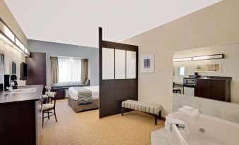 Microtel Inn & Suites by Wyndham Geneva