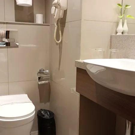 Hotel Shakti International
