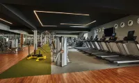 Viceroy Los Cabos - Gym