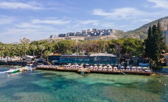 Unique Life Style Hotel