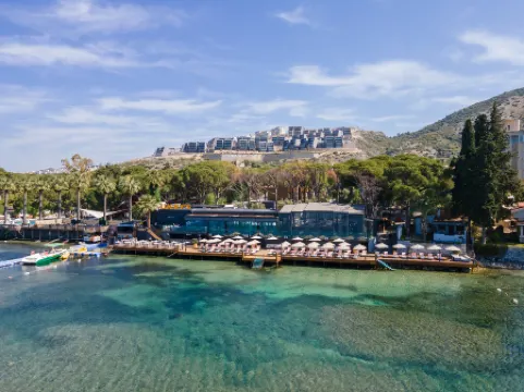 Unique Life Style Hotel