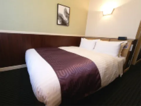 The Cozy Hotel Chiba (Formerly: Chiba Washington Hotel) Hotels in Chiba