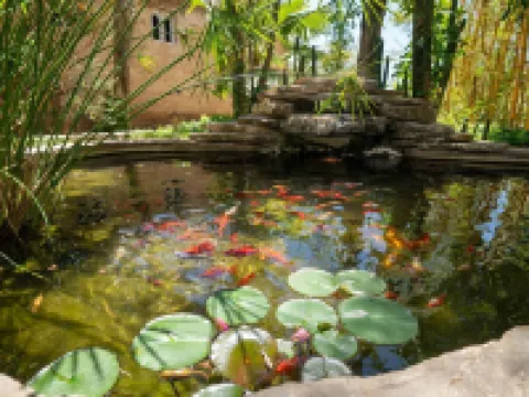 ホテル モリノ ガーデン シェフシャウエンのホテル