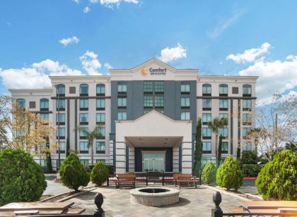 Comfort Inn & Suites New Orleans Airport North