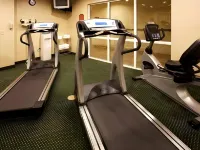 Holiday Inn Express & Suites BROOKSVILLE WEST by IHG - Gym