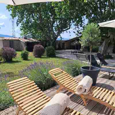 LE COTTAGE DE SOPHIE Hotel Exterior