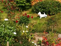 Cosy Holiday Home - Pets Welcome Hotels in der Nähe von Bikepark Hinternah