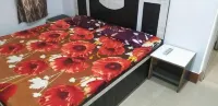 Sai Guest House Hotels in Madhopur