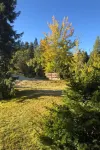 Uehlinger Seegarten Wirz