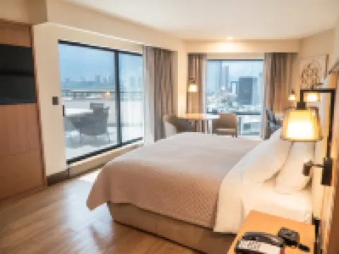 MS Milenium Monterrey, Curio Collection by Hilton Hotels in San Pedro Garza Garcia