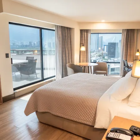 MS Milenium Monterrey, Curio Collection by Hilton