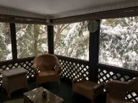 Pine Creek Treehouse