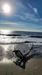 The Marshpad, surrounded by nature, mins to beach in gated community