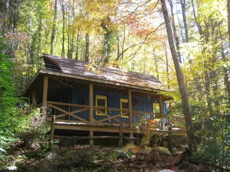 Cozy Cabin at a GREAT price