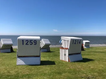 Light-flooded vacation apartment in the center with a view of the fishing boats