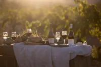 Splendide mas au Milieu des Vignes, au Pied des Montagnes