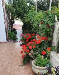 In the paradise of Sardinia,beautiful apartme 400 m from the sea of ​​CalaGonone