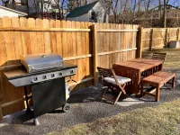 Catskill Ski Hike Lake Pet Main St Pool