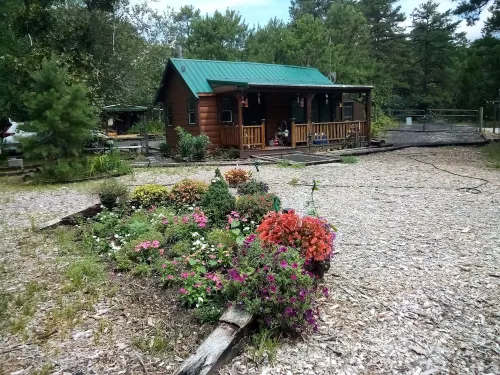Quiet Cabin - Homestays