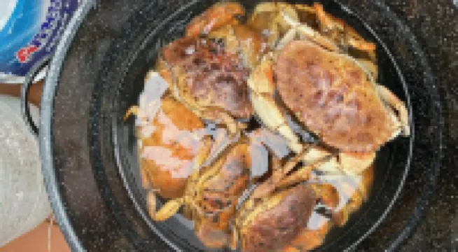 Come enjoy oceanview in a lobsterfishing community at our  Moosabec Reach home.