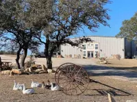 Silver Dollar Winery Bluebonnet