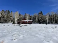 Arrowhead Sanctuary!! Beautiful Cabin! Deck with Fire Pit & Incredible Views!