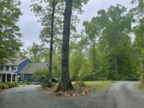 Wandering Bear’s Den Private Studio Near Crozet and Charlottesville