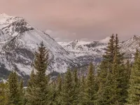 ☆ Luxurious Tiny House ☆ Rocky Mountain Getaway Hotels in Fairplay