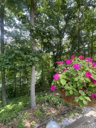 Cozy Waterfront Lake Home on Nolin Lake & Close to Mammoth Cave