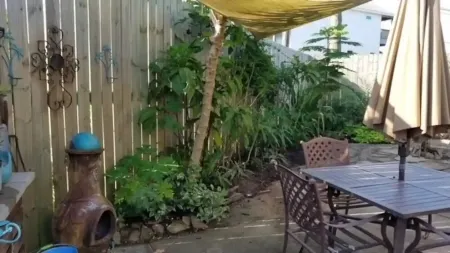 Bay View, Fishing, Watersports, Tropical Yard, Central Location! Отели рядом с достопримечательностью «Галвестон Айленд Конвеншен Сентер эт Сан Луис Резорт»