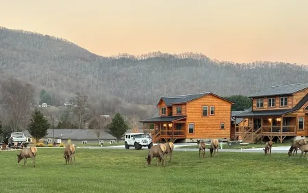 Relax & Recharge: Cozy Cabin with Hot Tub & Mountain Views