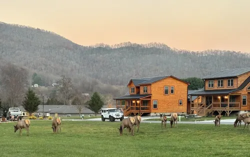 Relax & Recharge: Cozy Cabin with Hot Tub & Mountain Views