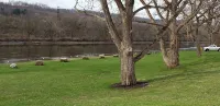 Little Moose Lodge (Tiny House) Mohawk River waterfront property