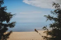 Little Blue Cottage - wooded getaway, near beaches and towns