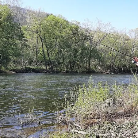 Getaway and relax! Enjoy the James River with mountain views! Отели в г. Ботетот