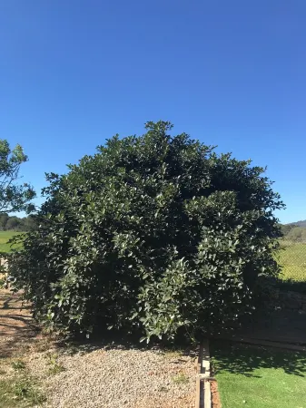 Lovely Dependance in Ibiza Отели в г. Сан-Хосе