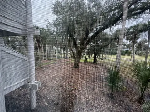 Plantation Nest-The Kerryman2. Screened porch overlooking 5th Tee Box