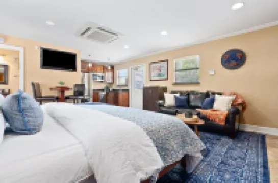 Perfect Game-day Loft 0.2 Miles From Toomer's Corner ~ Pet Friendly