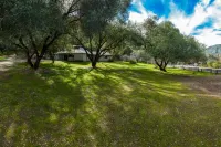 Next to Sequoia National Park Entrance and Pet Friendly! Hotel in zona Big Trees Trail