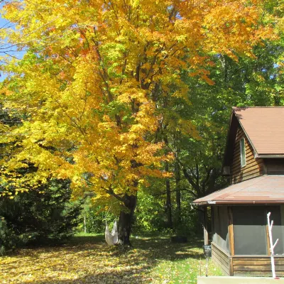 Spiral Staircase Leads To The Lofted Bedroom And Overlooks The Birch Woods. - シャレー