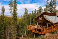 Cabin in the Woods! Pet Friendly, Private Outdoor Hot Tub, Gas Grill, Secluded - 샬레 호텔