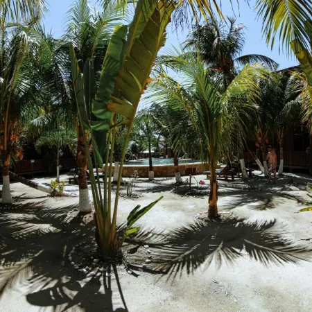 Coconut by ÓOL Hotels