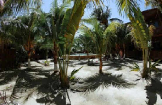 Coconut by ÓOL Hotels