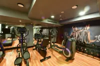 Crowne Plaza ISTANBUL - OLD CITY by IHG - Gym
