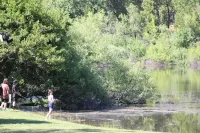 Meadow Lakes Cottage Yosemite & Kings Canyon Parks Gourmet Kitchen Close to Snow - Chalets